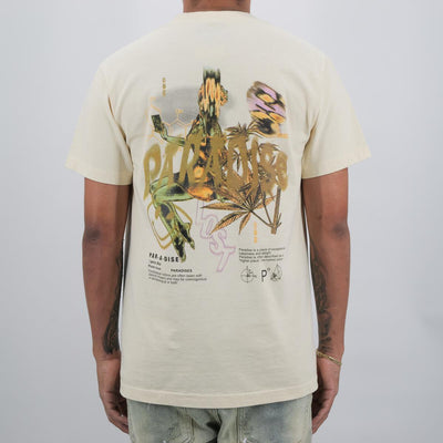HIGHER PLACES PREM TEE CREAM (CREAM)