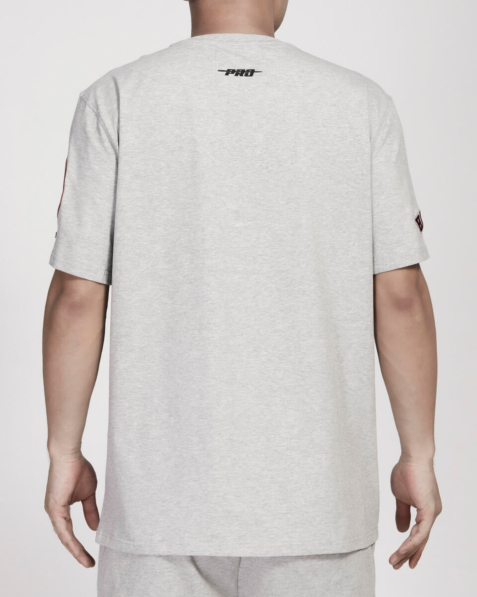 HOUSTON ASTROS CREST EMBLEM SJ TEE (HEATHER GREY)