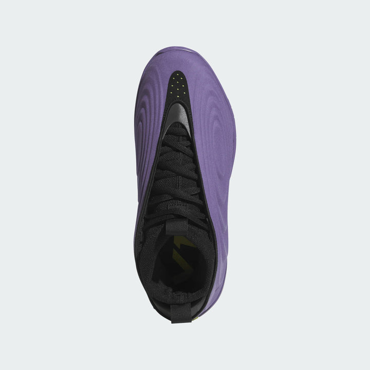 adidas HARDEN VOLUME 10 "JOKER"