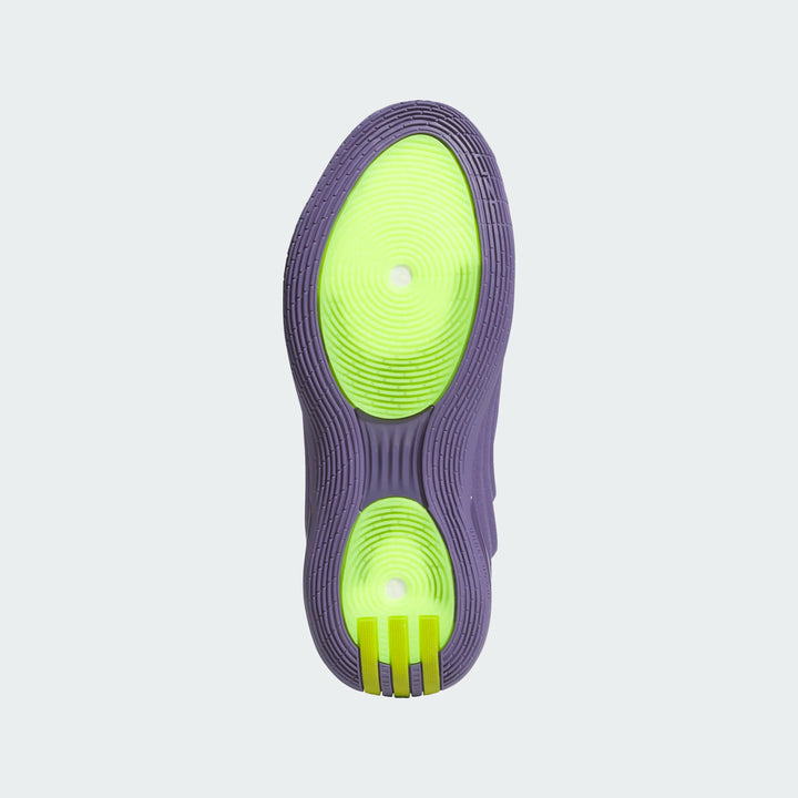 adidas HARDEN VOLUME 10 "JOKER"