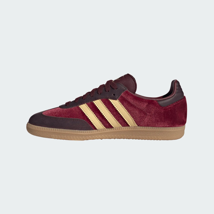 SAMBA OG "SHARED MAROON"