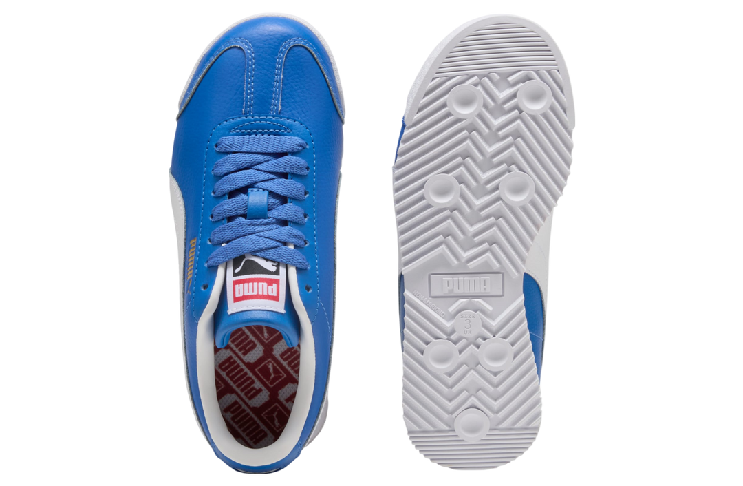 ROMA STANDARD 24 "MOUNTAIN BLUE" (GS)