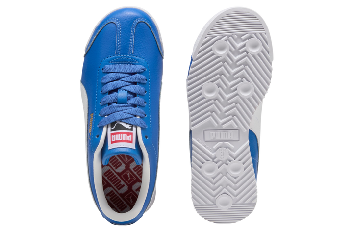 ROMA STANDARD 24 "MOUNTAIN BLUE" (GS)