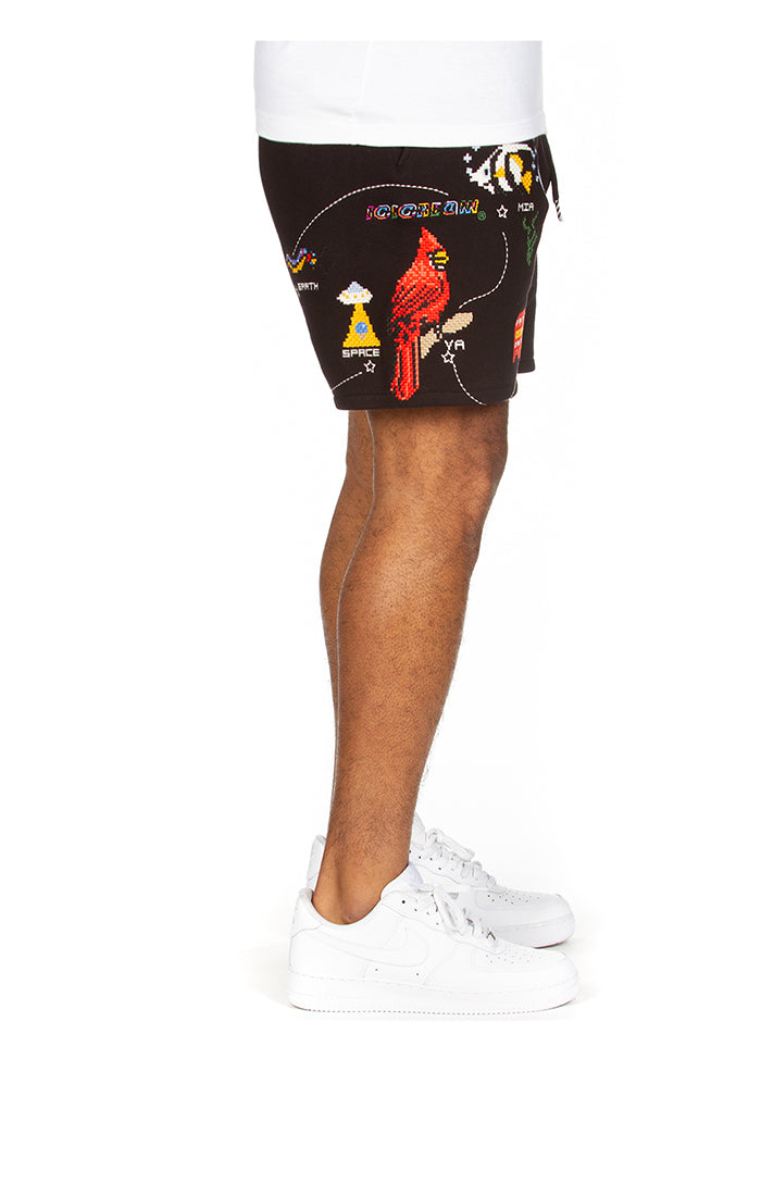Destination Shorts - Black