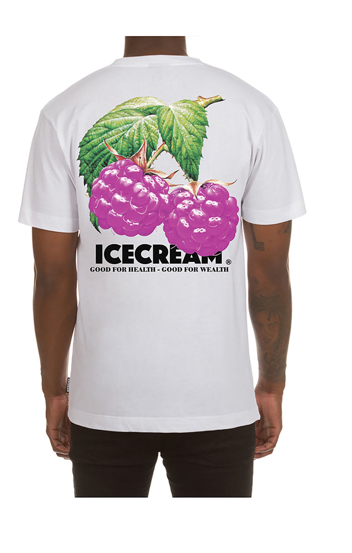 FRUITS OF LABOR SS TEE