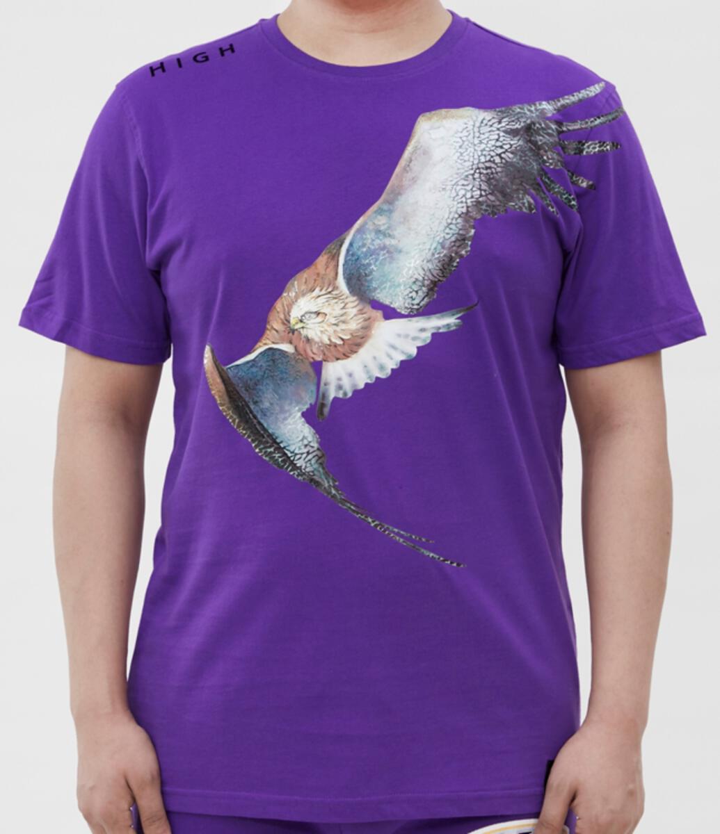 HIGH EAGLE WITH CEMENT WING TEE (PURPLE)